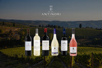 Marchesi Antinori Wine Dinner at Theo Mistral by Theo Randall