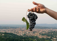 Five-course Bibi Graetz Wine Dinner | 18 September 2026