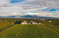 Six-course Villa Matilde Wine Dinner