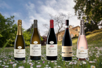 Six-Course Frecciarossa Italian Wine Dinner at The Mistral
